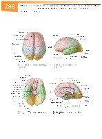 Sobotta Atlas of Human Anatomy  Head,Neck,Upper Limb Volume1 2006, page 295